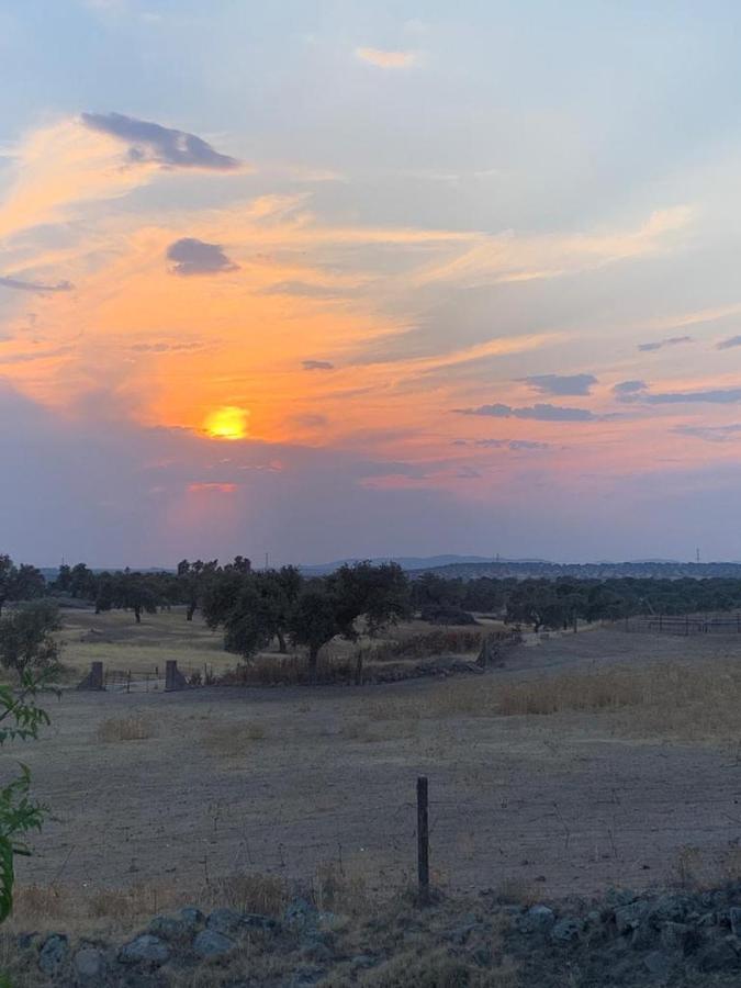 Casa Rural "El Carrasca" El Carrascalejo Zewnętrze zdjęcie